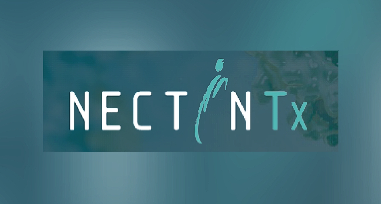 nectin(for news)